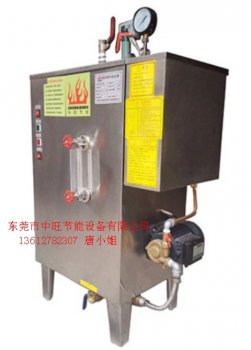 带压力电蒸汽发生器