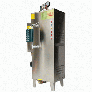 全自动电蒸汽锅炉