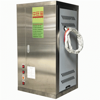 新款挂式常压电蒸汽机