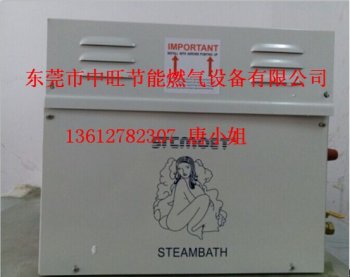 酒店湿蒸房专用桑拿蒸汽机