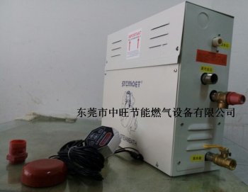 家用小型桑拿蒸汽机/湿蒸器