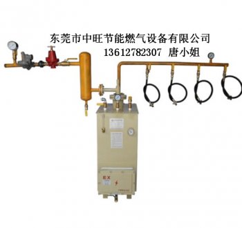 100KG防爆汽化器套装