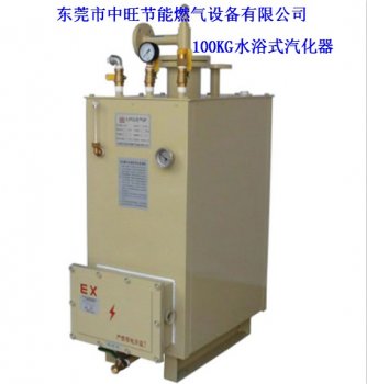 100KG电热式汽化器