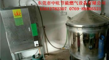 新款60型燃气蒸汽机酿酒用
