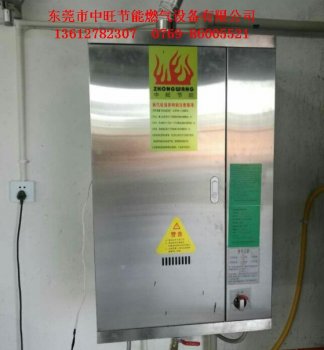 新款 50型燃气蒸汽机安装实例