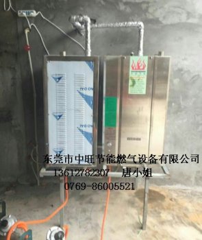 中旺燃气蒸汽机配套凉皮设备湖北客户安装实例