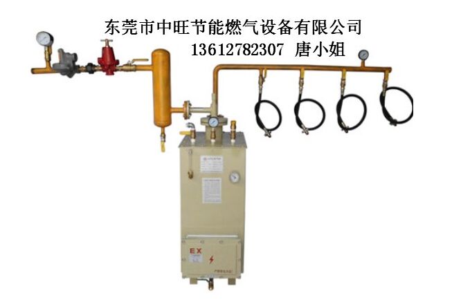 燃气蒸汽发生器