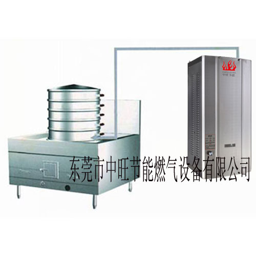 燃气蒸汽发生器