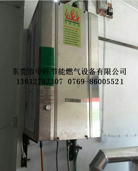 燃气蒸汽发生器