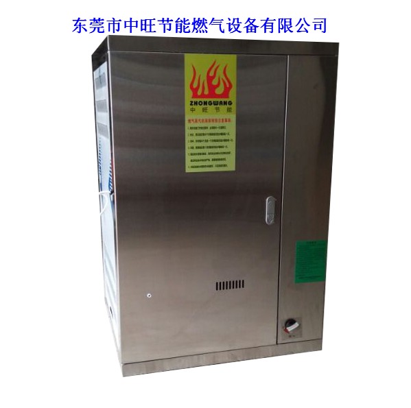燃气蒸汽发生器