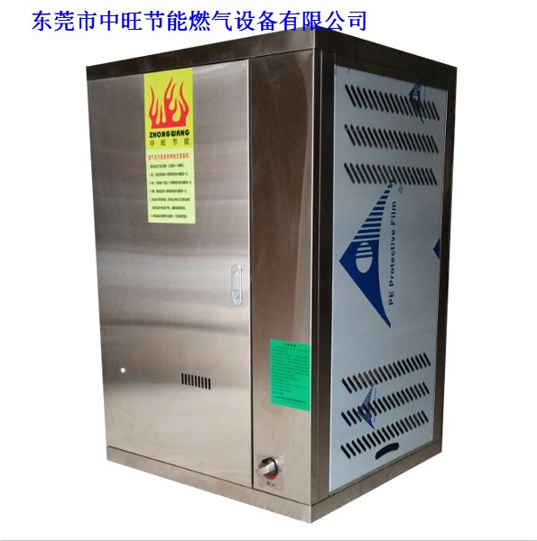 燃气蒸汽发生器