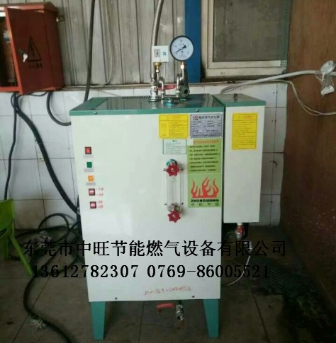 燃气蒸汽发生器 燃气蒸汽发生器