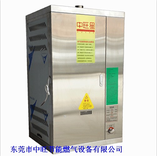 燃气蒸汽发生器