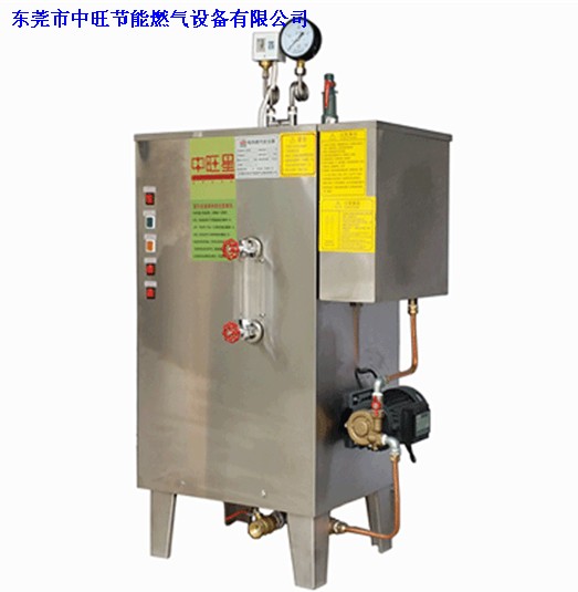 燃气蒸汽发生器