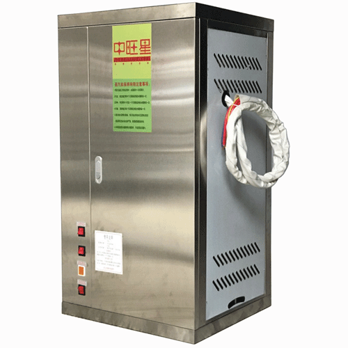 电蒸气发生器厂家